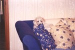 bobby3.jpg

62.77 KB 
871 x 584 
17/08/2003

